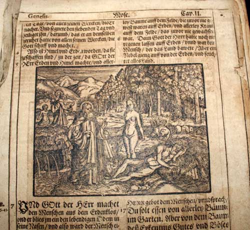 Wood cut with Adam and Eve, Luther's Biblia, 1626