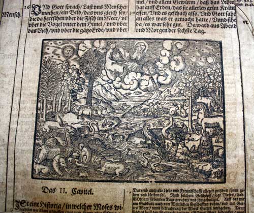 Woodcut of creation of living creatures,  Luther's Biblia, 1626